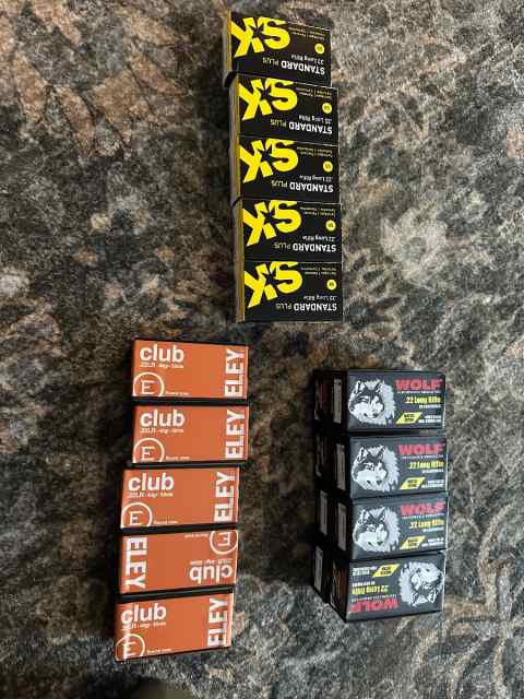 22lr ammo