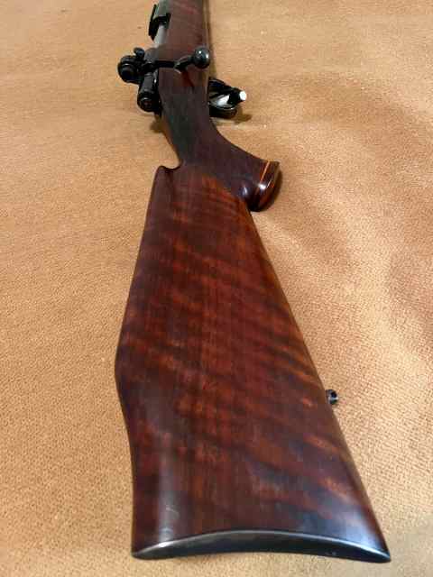 SAKO L579 FORESTER