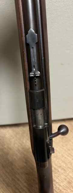 IMG_7179.jpeg