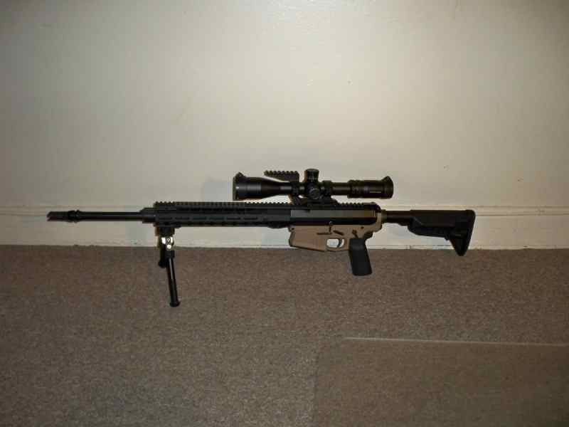 AR-10 in 308