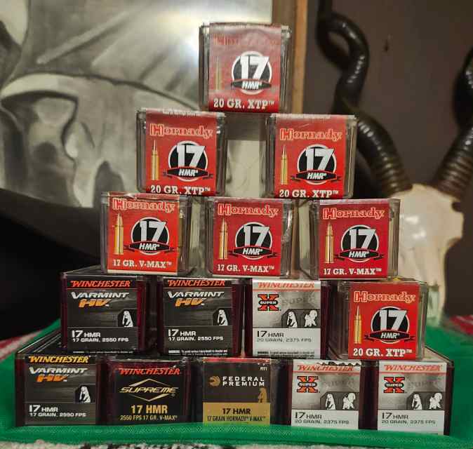 17 HMR ammunition WTT