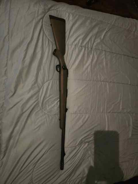 Savage 111 338. Win mag hog hunter