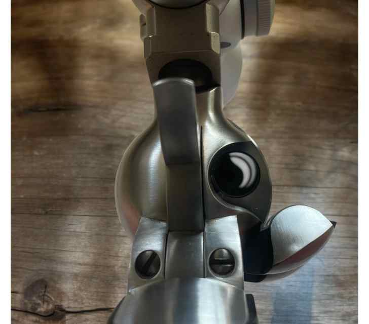Photoroom_20240615_164232.jpeg