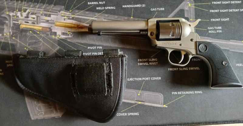 Ruger .22 &amp; Sig Sauer .22 