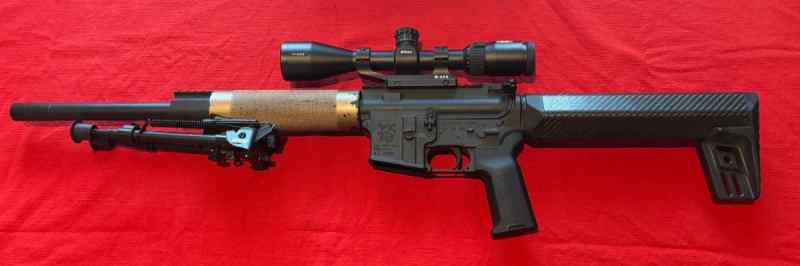 Olympic Arms AR-15