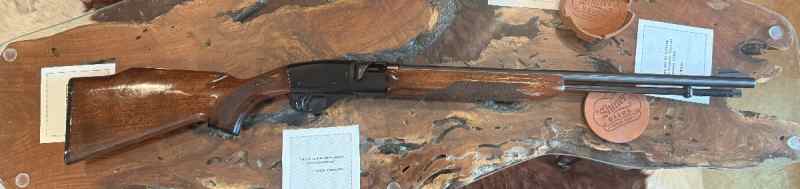Remington 552 speed master 