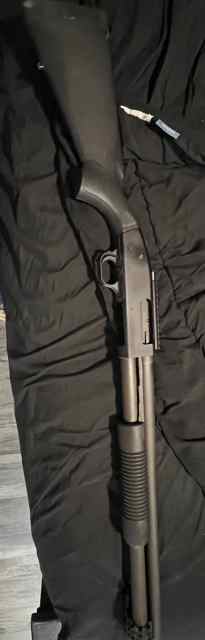 IMG_8159.jpeg