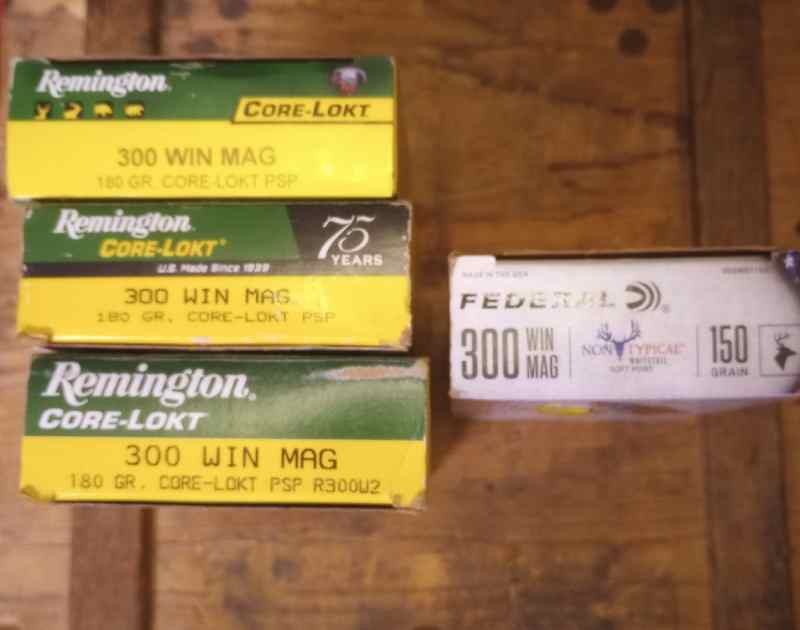 Remington 300 Winchester Mag 180 gr ammo